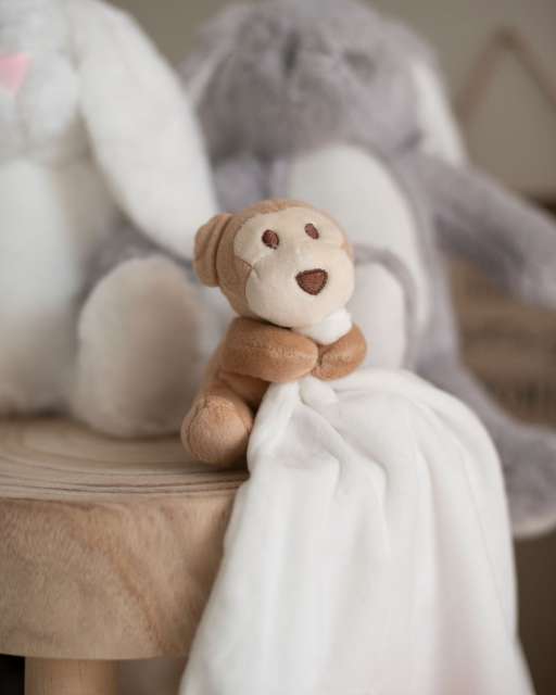 Monkey Comforter